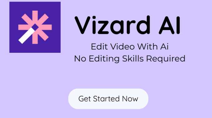 vizard AI