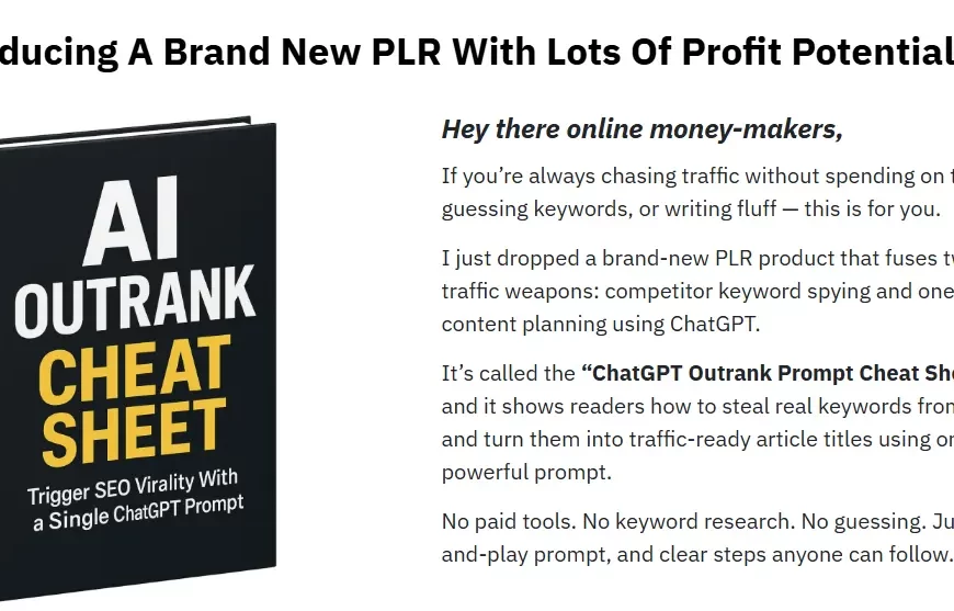 (PLR) AI OutRank Cheat Sheet